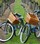 Pedal with the Proprietors - Non Member - View 3