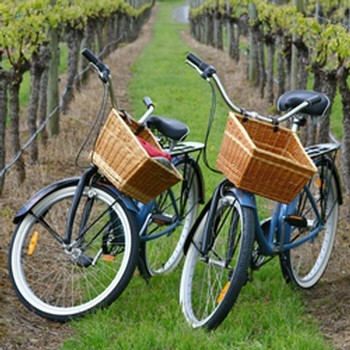 Pedal with the Proprietors - Member Ticket